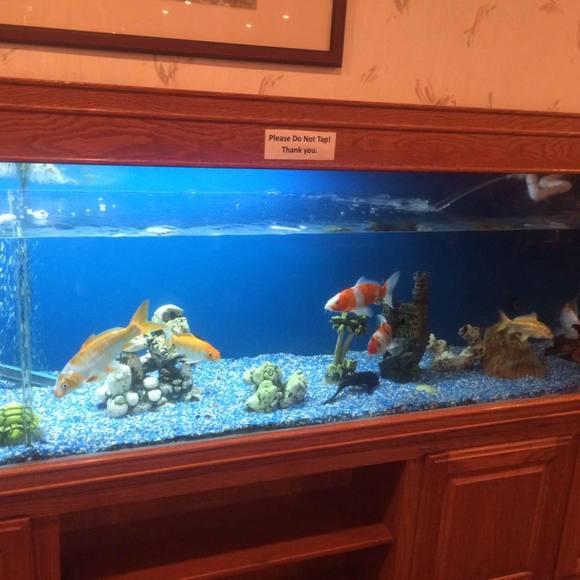 Meet your Posher, Yongyaochen - Picture 1 of 1